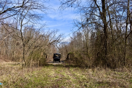 212 +/- Acres For Sale / Dubois County - image 18