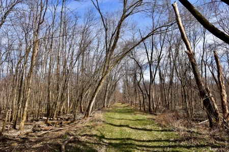 212 +/- Acres For Sale / Dubois County - image 29