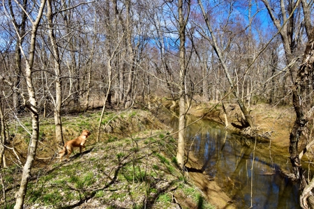 212 +/- Acres For Sale / Dubois County - image 37