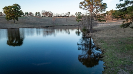 TX Ranch for Sale in Mineola Wood Co Horse Cattle Hunt Fish - image 9