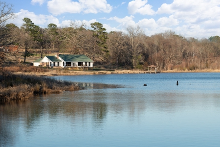 TX Ranch for Sale in Mineola Wood Co Horse Cattle Hunt Fish - image 42