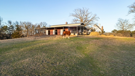 TX Ranch for Sale in Mineola Wood Co Horse Cattle Hunt Fish - image 38