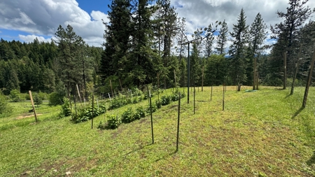 Sustainable Property in Kooskia, Idaho - image 25