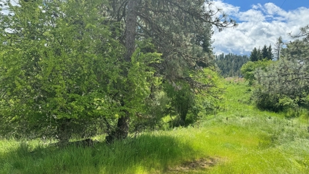 Sustainable Property in Kooskia, Idaho - image 33