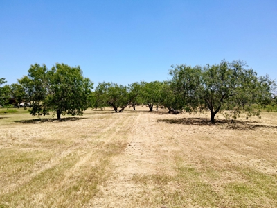 WATERFRONT Acreage on Lake Corpus Christi - image 18
