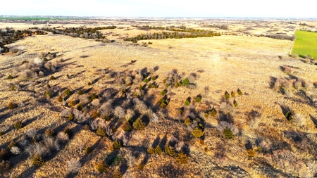 Land For Sale In Harper County, Kansas - image 33