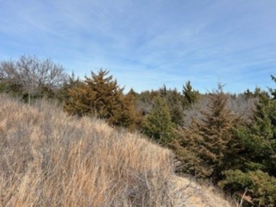 Land For Sale In Harper County, Kansas - image 22