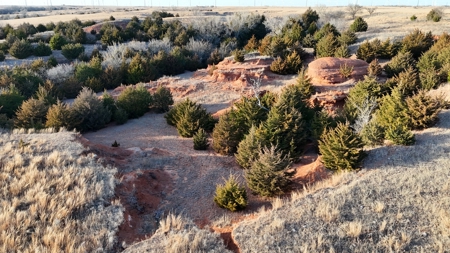 Land For Sale In Harper County, Kansas - image 41