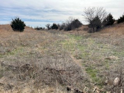 Land For Sale In Harper County, Kansas - image 6