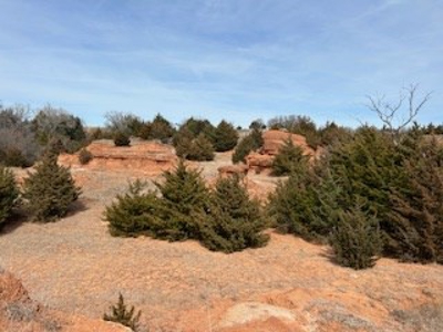 Land For Sale In Harper County, Kansas - image 12