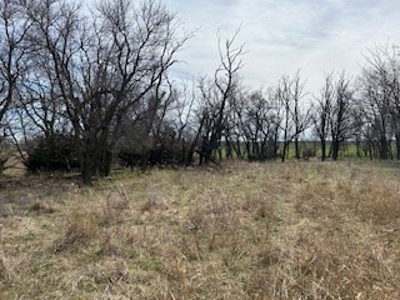 Land For Sale In Harper County, Kansas - image 19