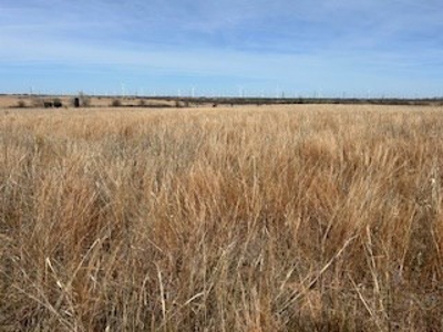 Land For Sale In Harper County, Kansas - image 15