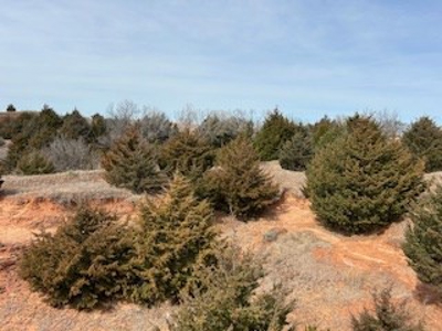 Land For Sale In Harper County, Kansas - image 11