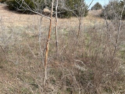 Land For Sale In Harper County, Kansas - image 5