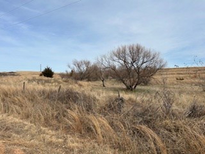 Land For Sale In Harper County, Kansas - image 4