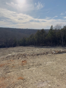 New Home And Acreage For Sale In Arkansas - image 35