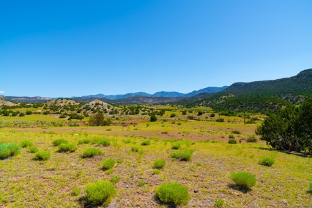 35 Acres Bordering Blm County Road  Minutes To Canon City Co - image 6