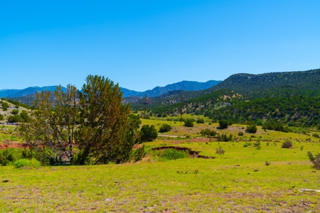 35 Acres Bordering Blm County Road  Minutes To Canon City Co - image 16