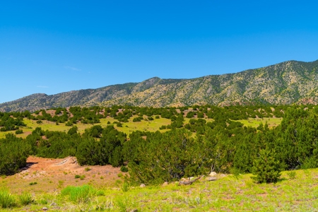 35 Acres Bordering Blm County Road  Minutes To Canon City Co - image 4
