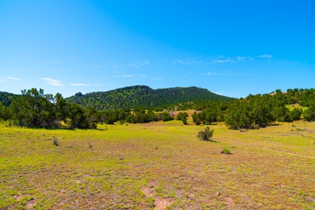 35 Acres Bordering Blm County Road  Minutes To Canon City Co - image 11