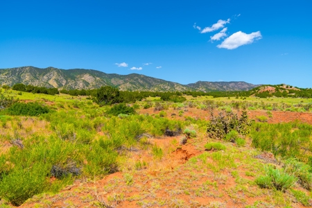 35 Acres Bordering Blm County Road  Minutes To Canon City Co - image 17