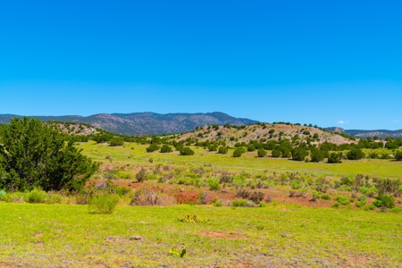 35 Acres Bordering Blm County Road  Minutes To Canon City Co - image 15