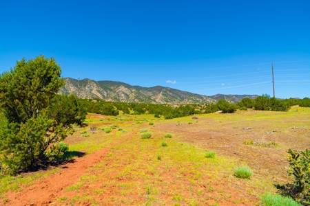 35 Acres Bordering Blm County Road  Minutes To Canon City Co - image 10
