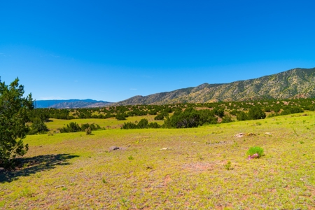 35 Acres Bordering Blm County Road  Minutes To Canon City Co - image 8