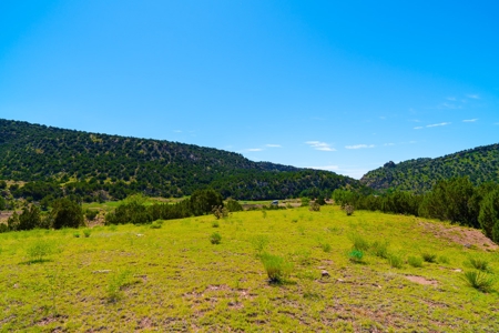 35 Acres Bordering Blm County Road  Minutes To Canon City Co - image 13