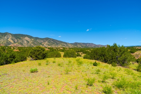 35 Acres Bordering Blm County Road  Minutes To Canon City Co - image 5