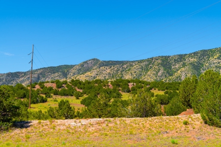 35 Acres Bordering Blm County Road  Minutes To Canon City Co - image 12
