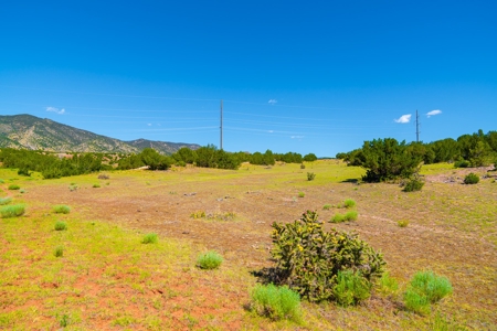 35 Acres Bordering Blm County Road  Minutes To Canon City Co - image 9