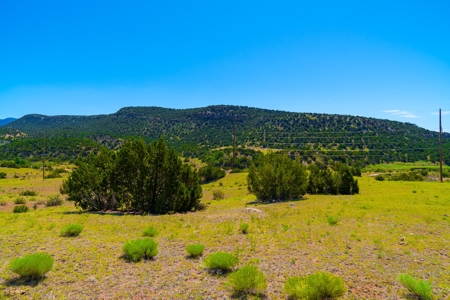 35 Acres Bordering Blm County Road  Minutes To Canon City Co - image 7