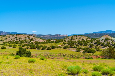 35 Acres Bordering Blm County Road  Minutes To Canon City Co - image 1