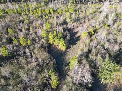 Hunting Land For Sale with Lodge in Franklin County MS - image 31