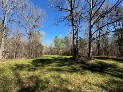 Hunting Land For Sale with Lodge in Franklin County MS - image 13