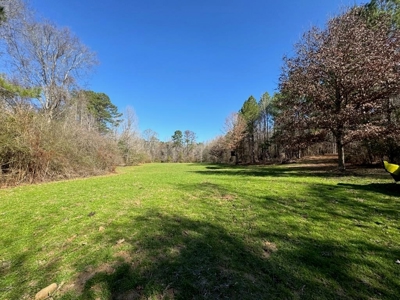 Hunting Land For Sale with Lodge in Franklin County MS - image 43