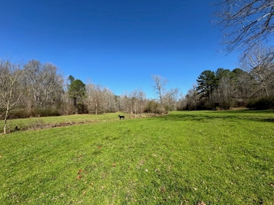 Hunting Land For Sale with Lodge in Franklin County MS - image 12