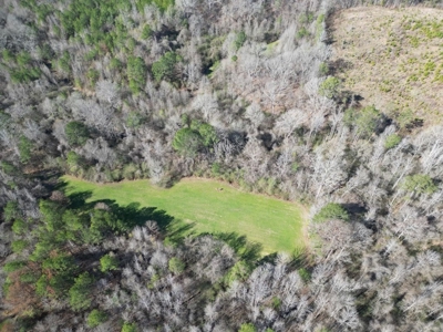Hunting Land For Sale with Lodge in Franklin County MS - image 42