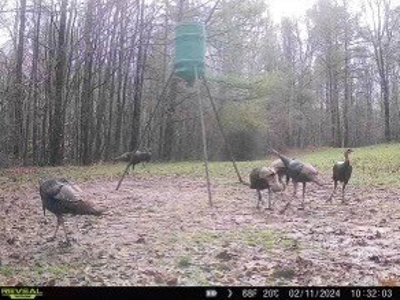 Hunting Land For Sale with Lodge in Franklin County MS - image 28