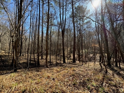 Hunting Land For Sale with Lodge in Franklin County MS - image 7