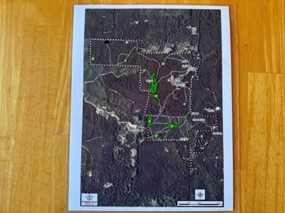 Hunting Land For Sale with Lodge in Franklin County MS - image 24