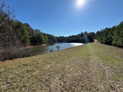 Hunting Land For Sale with Lodge in Franklin County MS - image 6