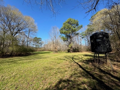 Hunting Land For Sale with Lodge in Franklin County MS - image 10