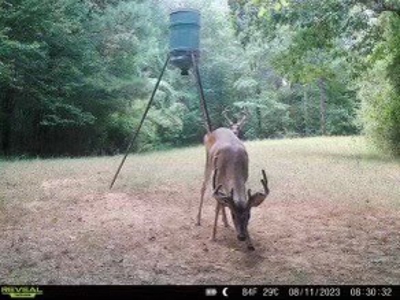 Hunting Land For Sale with Lodge in Franklin County MS - image 27