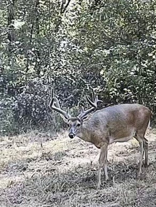 Hunting Land For Sale with Lodge in Franklin County MS - image 26