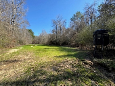 Hunting Land For Sale with Lodge in Franklin County MS - image 14