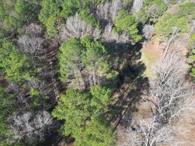 Hunting Land For Sale with Lodge in Franklin County MS - image 33