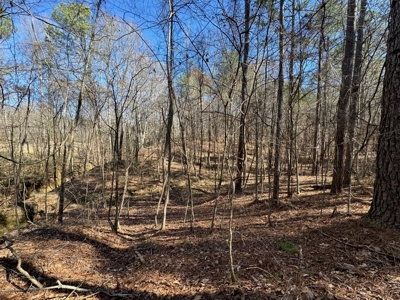 Hunting Land For Sale with Lodge in Franklin County MS - image 15