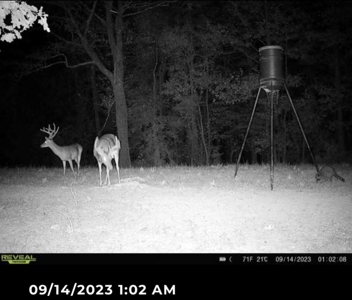 Hunting Land For Sale with Lodge in Franklin County MS - image 5